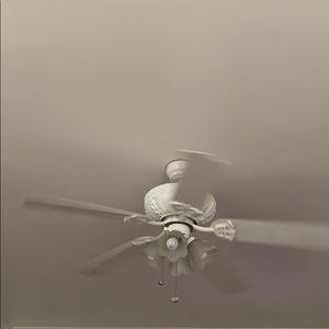 Meet your Posher, Annette